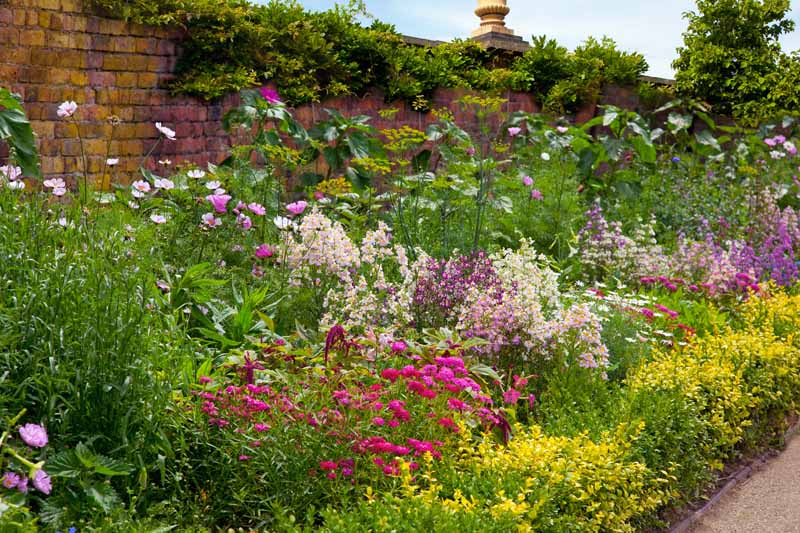 A colorful perennial flower bed in bloom in a cottage-style walled garden.