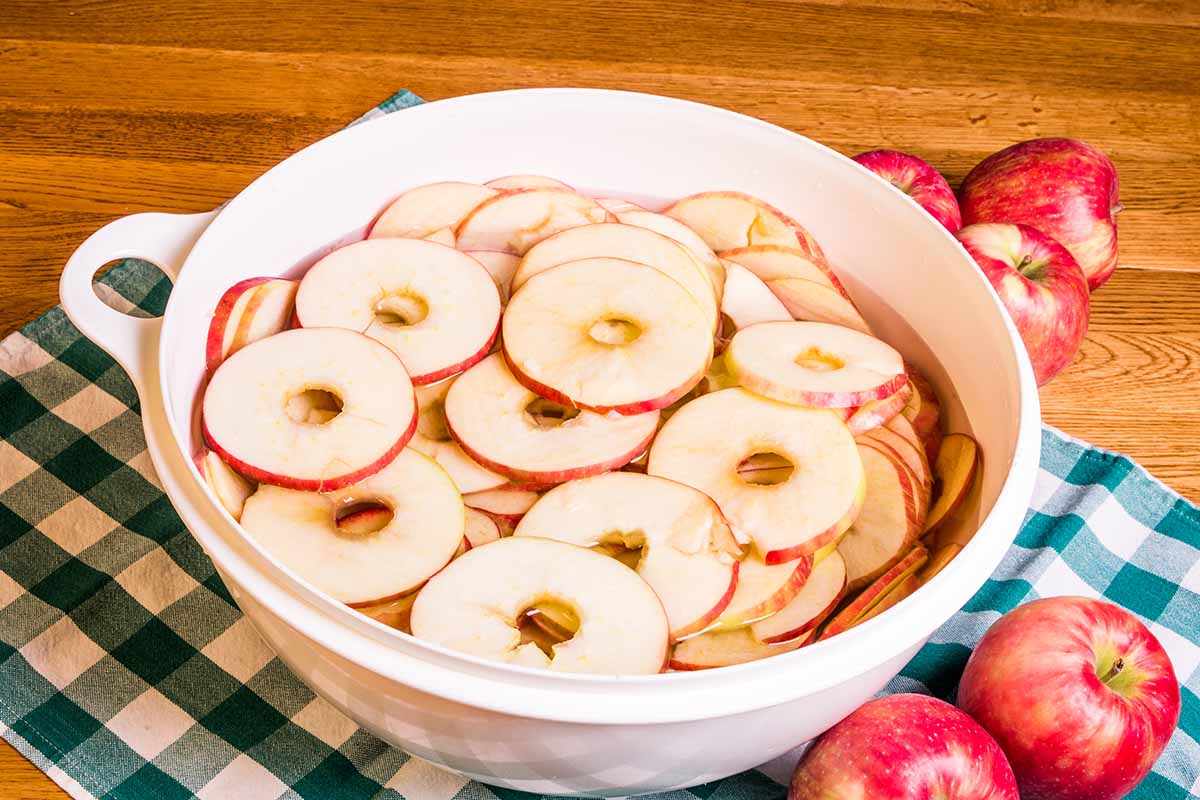 A close up horizontal image of apples sliced into rings and placed in a bowl of water.