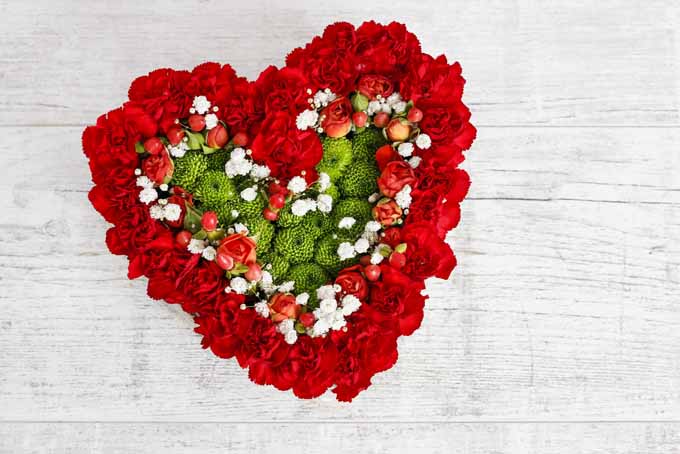 Make a Romantic Blooming Heart Centerpiece in Easy Steps | GardenersPath.com