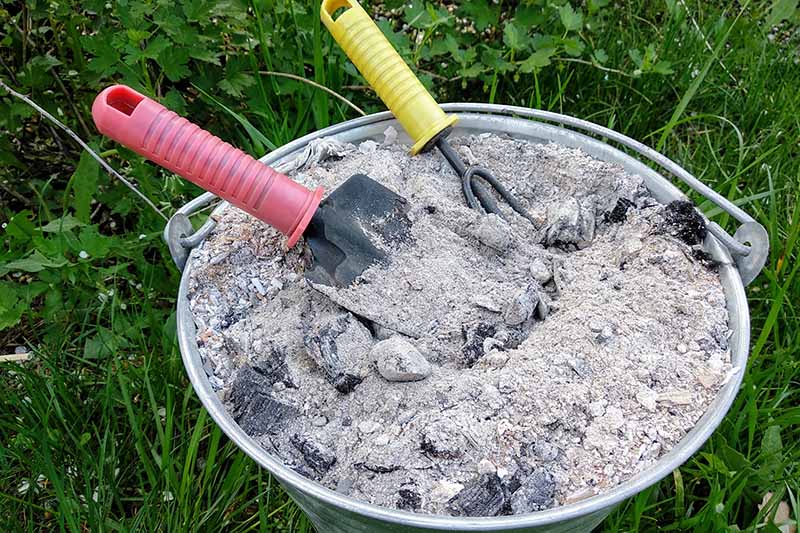A close up of a metal bucket full of wood ashes from the fireplace, with a small shovel and cultivator, set on a lawn.