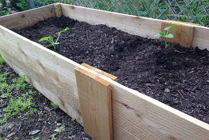 A wooden garden planter box filled with brown soil, with a few green seedlings growing in the planter.