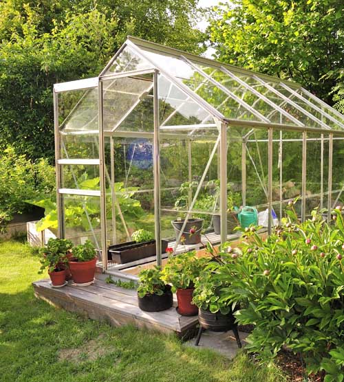A small backyard greenhouse surrounded by vegetable garden.