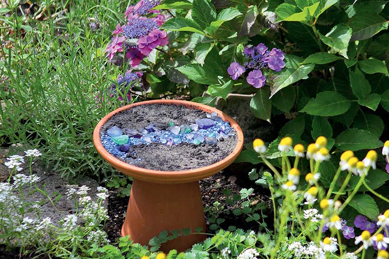 A close up of a terra cotta bird bath filled with soil and blue glass beads to attract butterflies, pictured in the garden in bright sunshine, with shrubs in soft focus in the background.