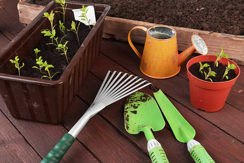 A close up of various gardening tools for indoor gardening with a watering can, pots and seed starter trays, and small hand tools, set on a wooden surface.
