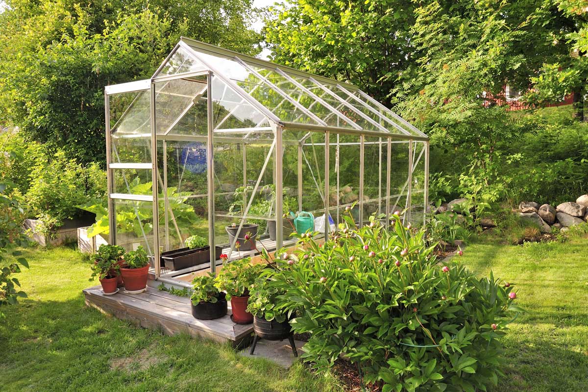 A backyard glass greenhouse with an assortment of plants growing inside and out.