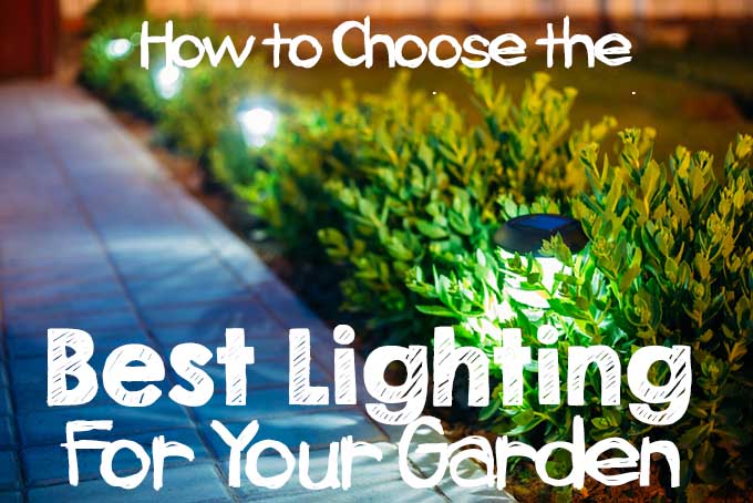 How to Choose the Best Lighting For Your Garden | Foodal.com