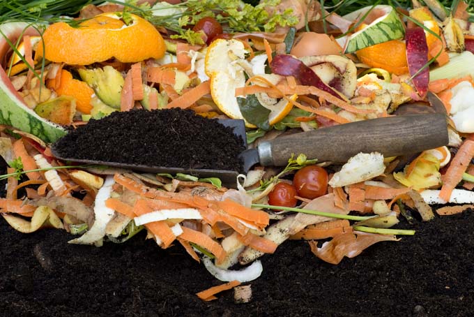 Compost with Kitchen Scraps | GardenersPath.com