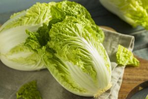 A close up horizontal image of freshly harvested Chinese cabbages set on a fabric surface.