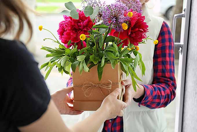 Instructions to keep floral arrangements looking fresh | GardenersPath.com
