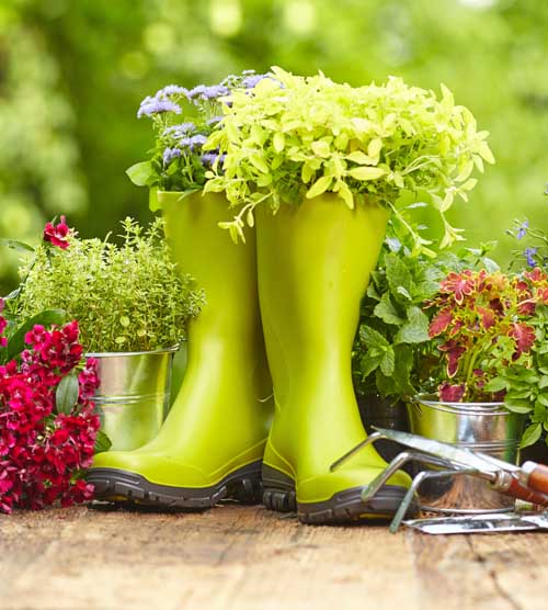 A pair of lime green muck boots and gardening hand tools.