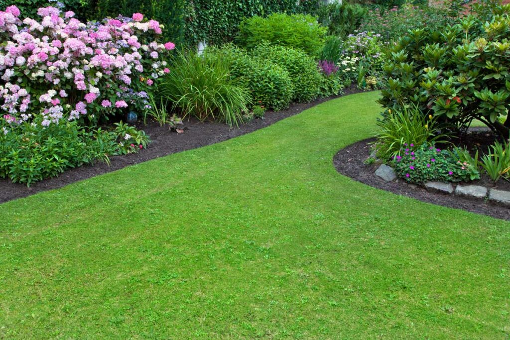 A manicured green lawn with bordering flower beds.