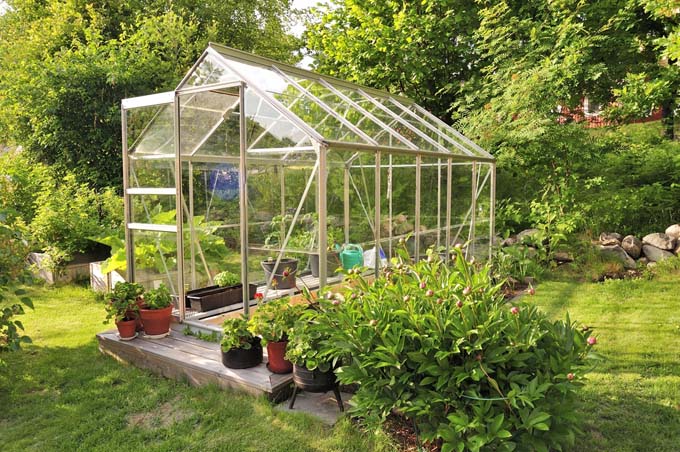 Mistakes to Avoid with Greenhouses | GardenersPath.com