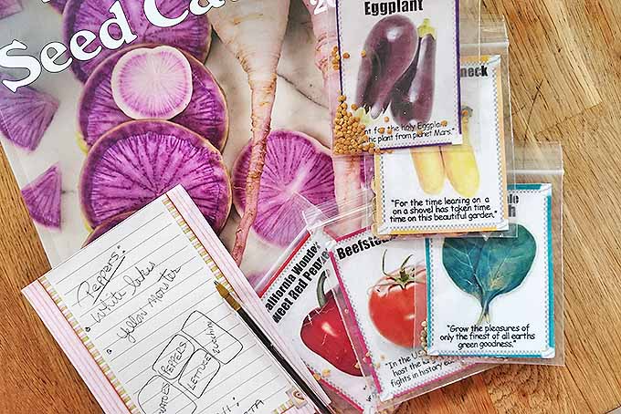 Five packets of newly purchased seeds are piled on top of The Rare Seed Catalog. The purple slices of the roots can be seen on the cover of the catalog. The seed packets each contain several small seeds, an image of the delectables it will grow, and some short quotes. The seeds are for various plants including peppers, tomatoes, eggplant and others. Next to the pile of seeds is a pen and a notepad with the names of seeds to look for in the catalog. All of this is resting on a lightly stained wooden table.