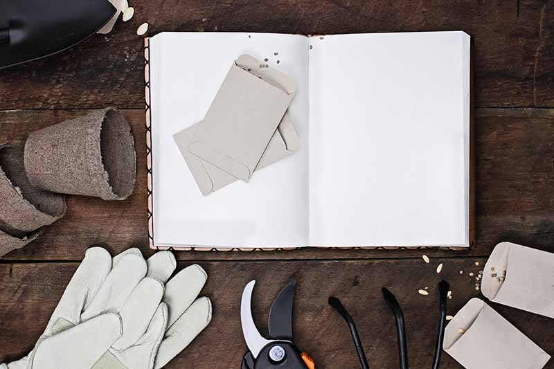 A top down picture of an open book with blank pages, and seed packets on top of it, to the left are some small planing pots, and to the bottom of the frame are gardening gloves, pruning shears, and a hand cultivator, set on a rustic wooden surface.