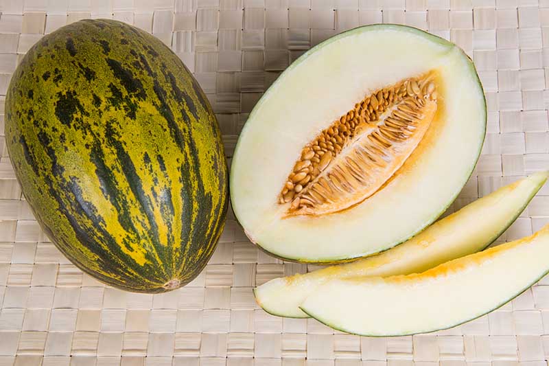 A horizontal image of two Cucumis melo 'Piel de Sapo' fruits set on a wicker surface, one whole and one cut into slices.