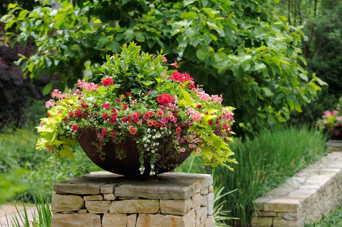 Decorative Outdoor Planter | GardenersPath.com
