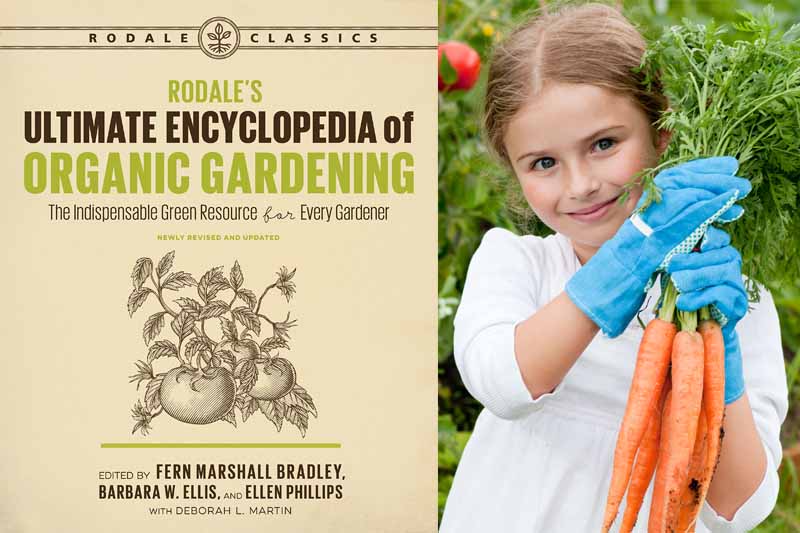 A Collage of two photos including Rodale's Ultimate Encyclopedia of Organic Gardening book cover and a little girl holding organically grown freshly harvested carrots in a garden setting.