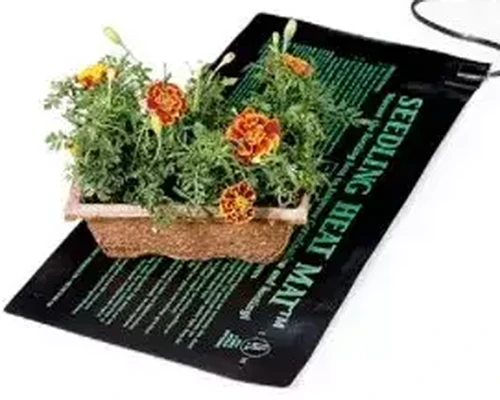 A close up image of a seedling heat mat with a tray of marigolds set on top of it, isolated on a white background.