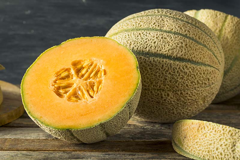 A close up horizontal image of whole and cut muskmelons set on a wooden surface pictured on a soft focus background.