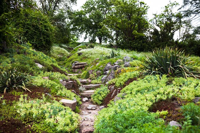 Using the Natural Enviroment In Landscaping | GardenersPath.com
