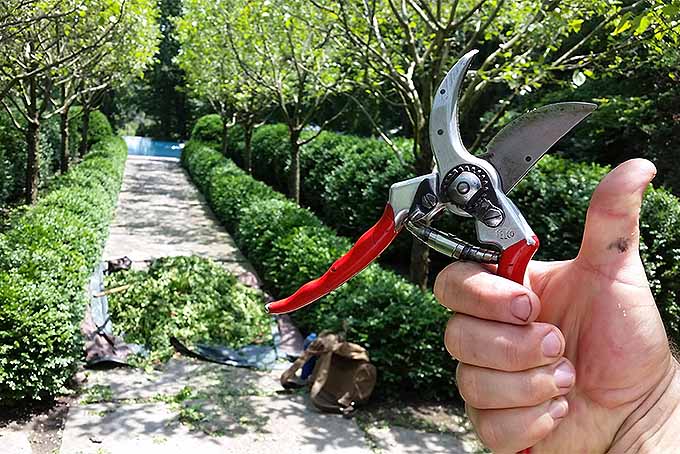 Thumbs up for these garden pruners. | GardenersPath.com